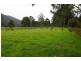 Lot 8 Lonnavale Road, Lonnavale TAS 7109