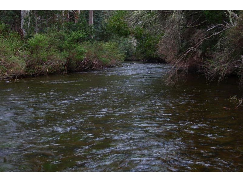 Lot 8 Lonnavale Road, Lonnavale TAS 7109