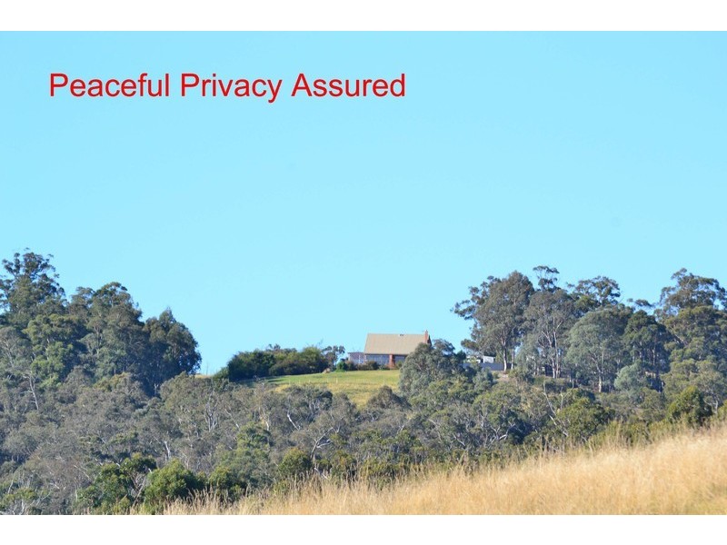 199 Dowlings Road, Huonville TAS 7109