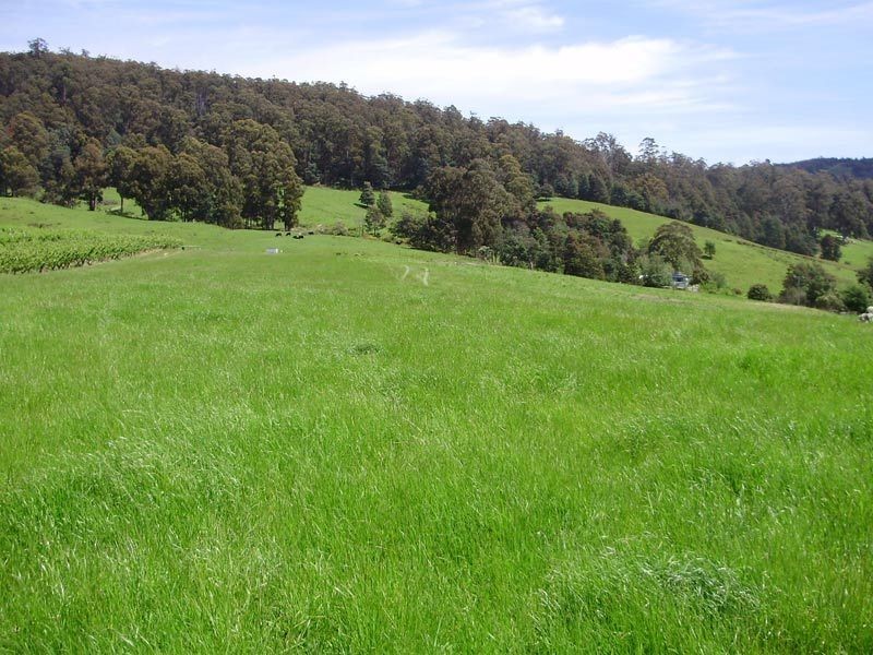 RA Woodcock Road, Cygnet TAS 7112