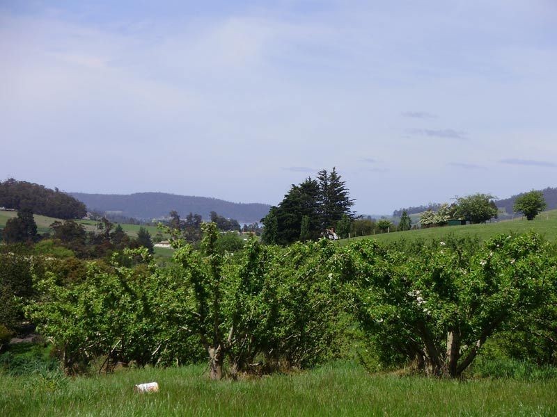 RA Woodcock Road, Cygnet TAS 7112