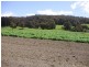 RA Woodcock Road, Cygnet TAS 7112