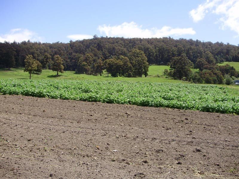 RA Woodcock Road, Cygnet TAS 7112