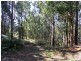 19 Hills Road, Franklin TAS 7113