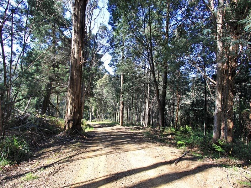 19 Hills Road, Franklin TAS 7113