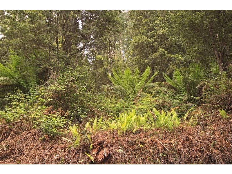 RA New Road, Franklin TAS 7113