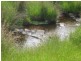 268 Arve Road, Geeveston TAS 7116