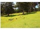 39 POLICE POINT ROAD, Police Point TAS 7116