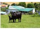 39 POLICE POINT ROAD, Police Point TAS 7116