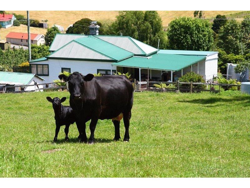 39 POLICE POINT ROAD, Police Point TAS 7116