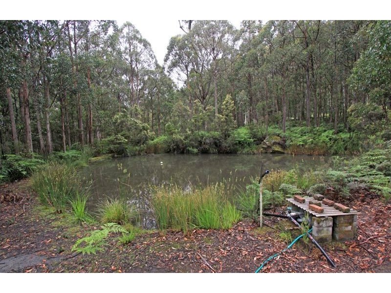 139 Clarks Road, Lower Longley TAS 7109