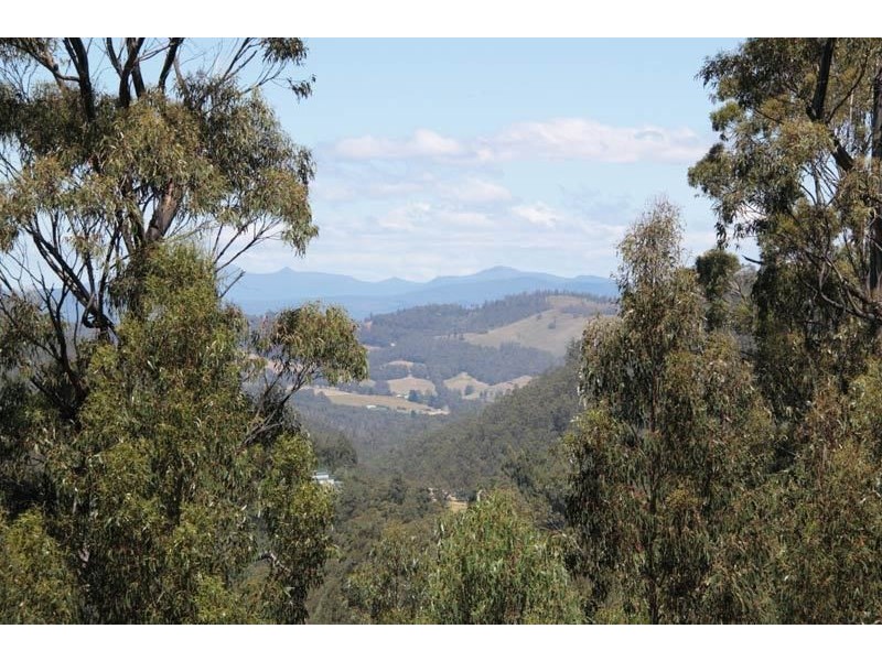 911 Halls track Road, Pelverata TAS 7150