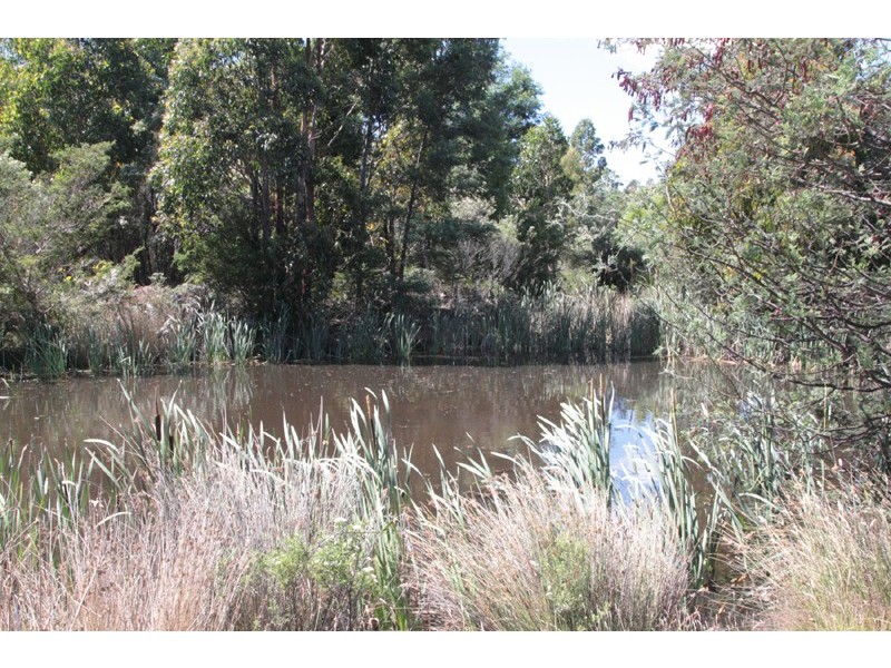 911 Halls track Road, Pelverata TAS 7150