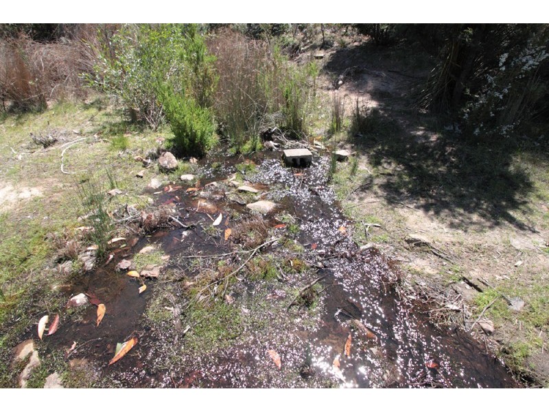 911 Halls track Road, Pelverata TAS 7150