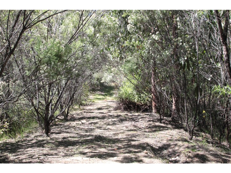 911 Halls track Road, Pelverata TAS 7150