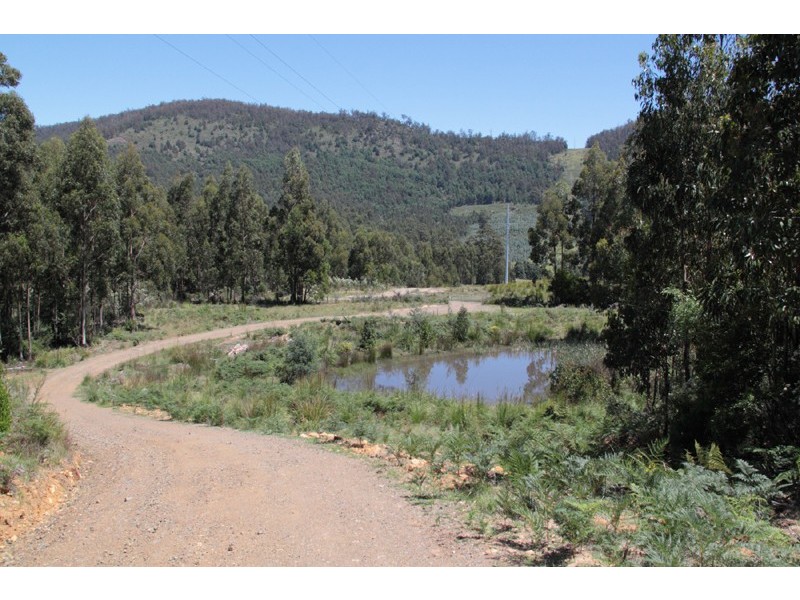 911 Halls track Road, Pelverata TAS 7150