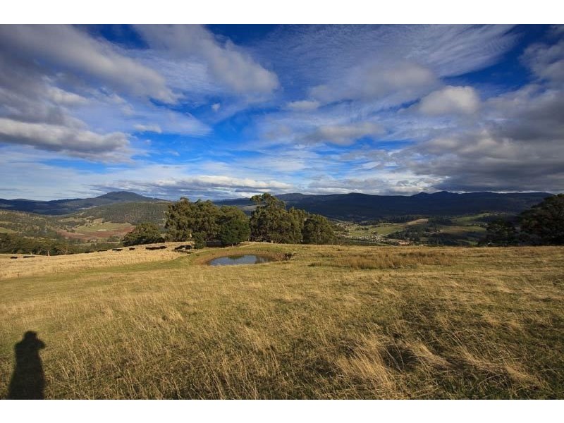 RA Doodys Hill Road, Port Huon, Port Huon TAS 7116