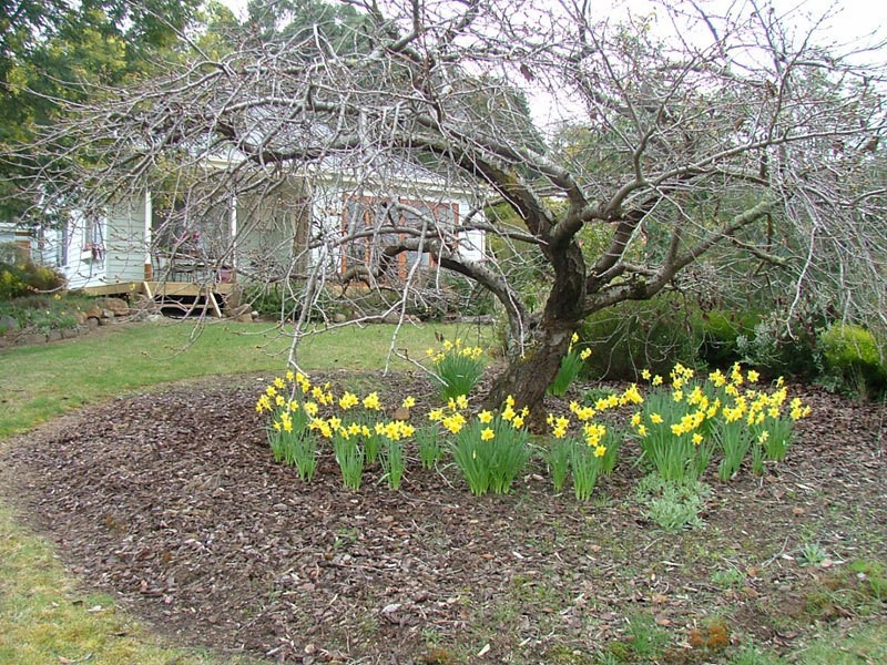 4506 Huon Highway, Port Huon TAS 7116