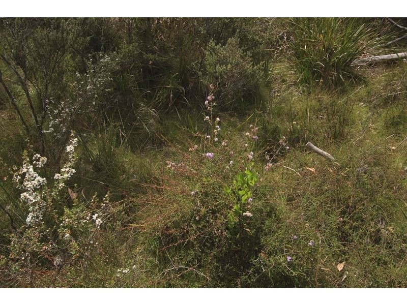 Lot 2 Lowes Road, Garden Island Creek TAS 7112