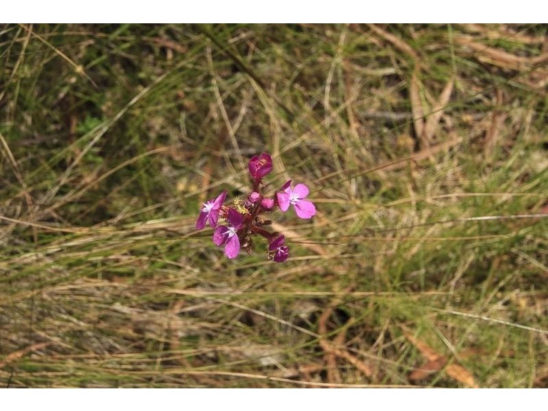 Lot 2 Lowes Road, Garden Island Creek TAS 7112