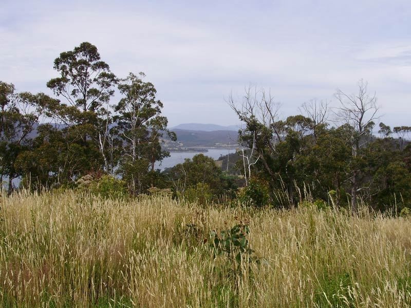 Lot 2 Kings Hill Road, Cygnet TAS 7112