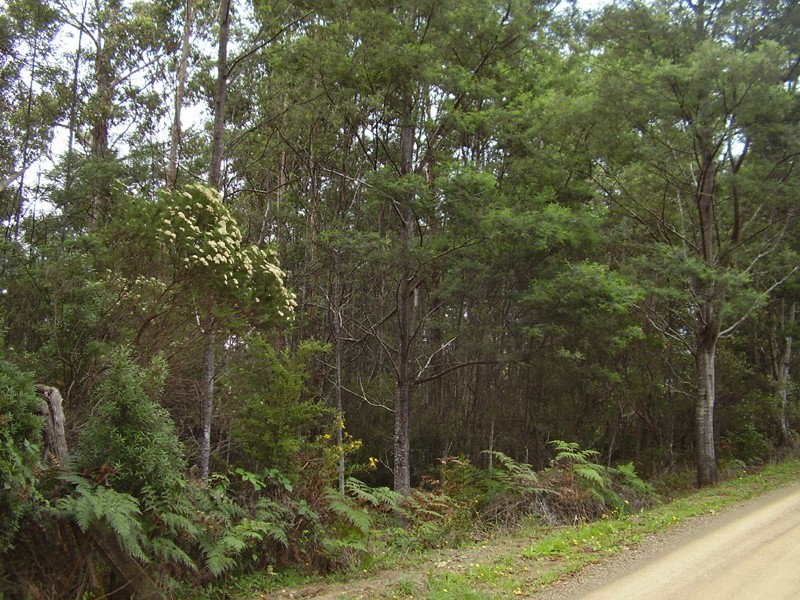 10  McClyments Road, Raminea TAS 7109