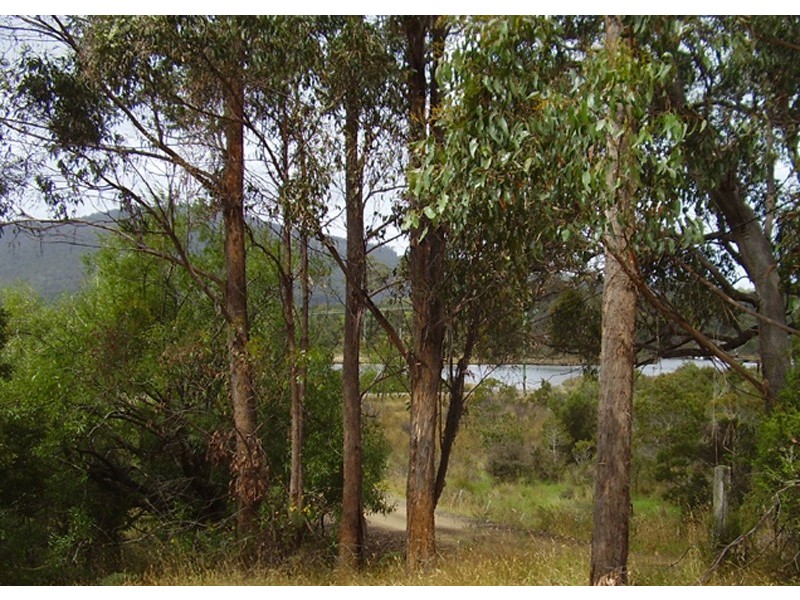 10  McClyments Road, Raminea TAS 7109