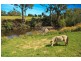 153 Lollara Road, Ranelagh TAS 7109