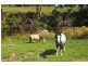 153 Lollara Road, Ranelagh TAS 7109