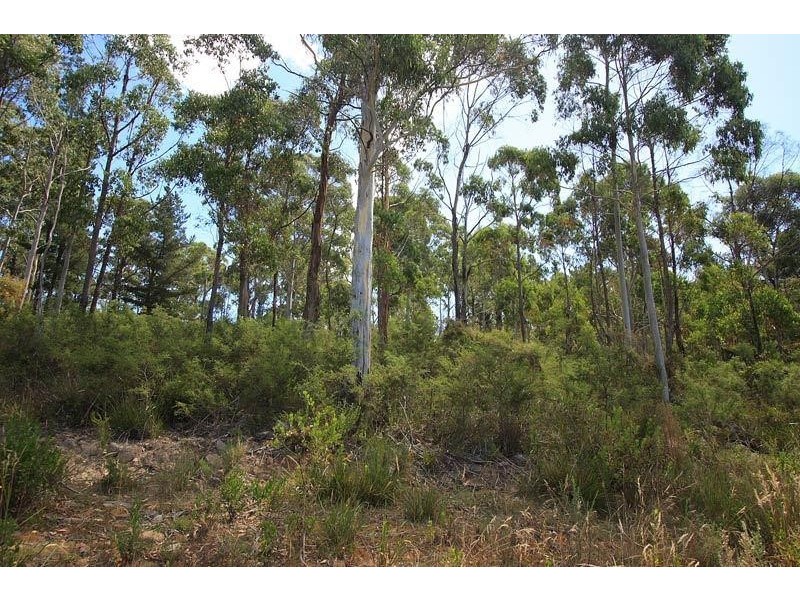Ra Evans  Road, Port Huon TAS 7116