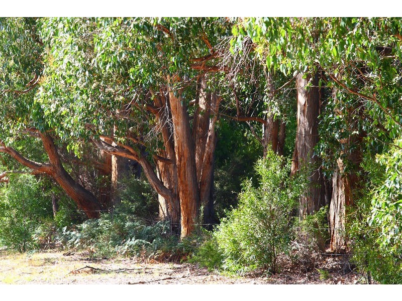 Lot 2 Sunday Hill Road, Petcheys Bay TAS 7109