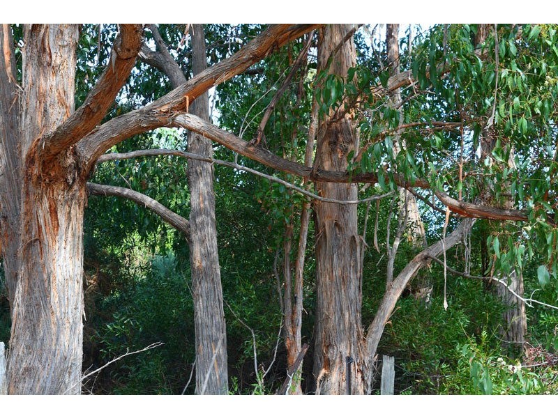 Lot 2 Sunday Hill Road, Petcheys Bay TAS 7109