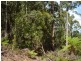 44  Lloyds Road, Franklin TAS 7113
