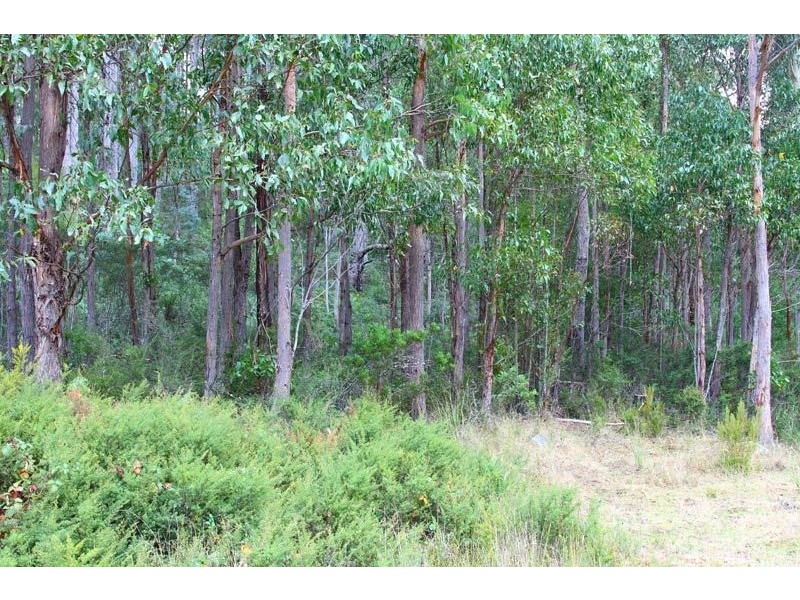 Lot 1 Pelverata Road, Pelverata TAS 7150