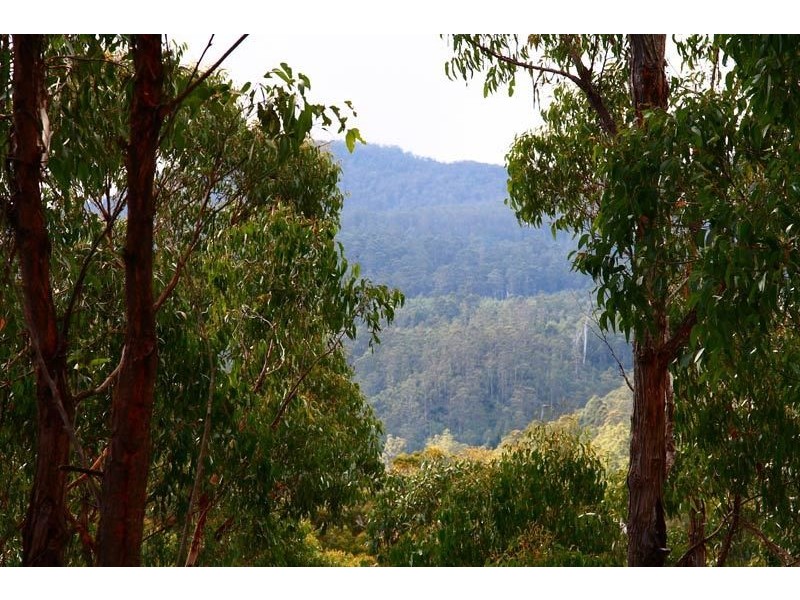 Lot 1 Pelverata Road, Pelverata TAS 7150