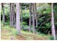 Lot 2 Huon Highway, Glendevie TAS 7109