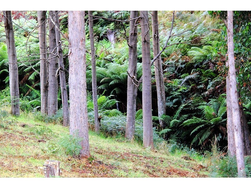 Lot 2 Huon Highway, Glendevie TAS 7109