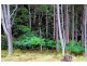 Lot 2 Huon Highway, Glendevie TAS 7109