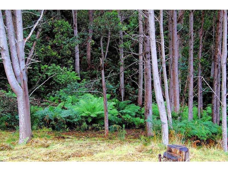 Lot 2 Huon Highway, Glendevie TAS 7109