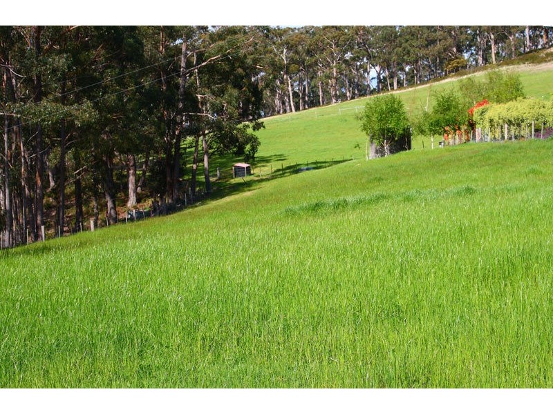 53 Griggs Road, Lucaston TAS 7109