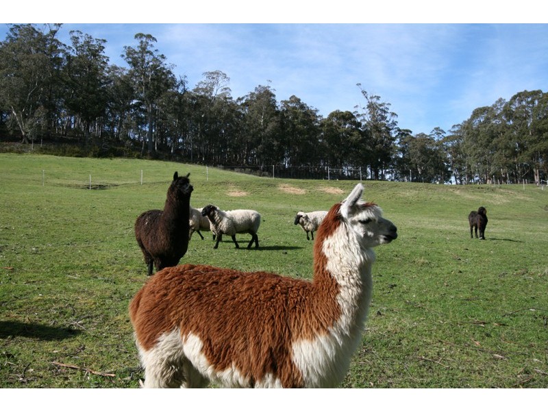 53 Griggs Road, Lucaston TAS 7109