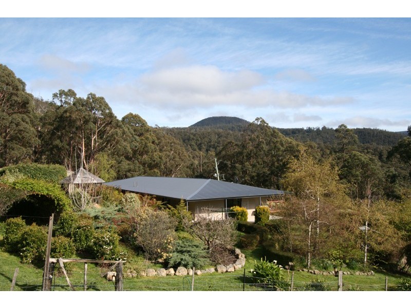 53 Griggs Road, Lucaston TAS 7109