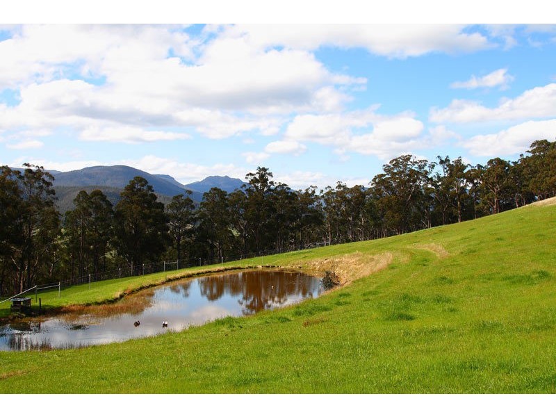 53 Griggs Road, Lucaston TAS 7109