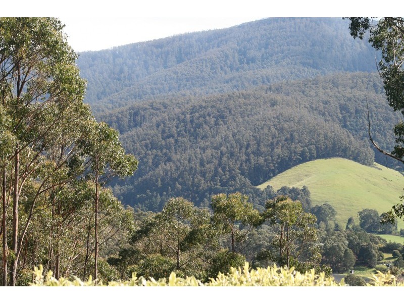 53 Griggs Road, Lucaston TAS 7109