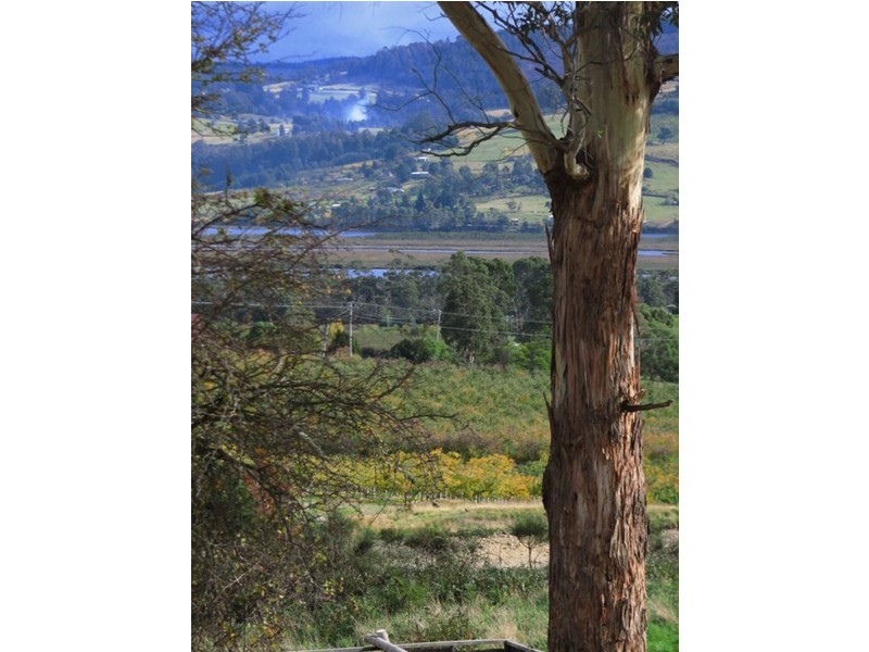 13 Schultz Road, Cradoc TAS 7109