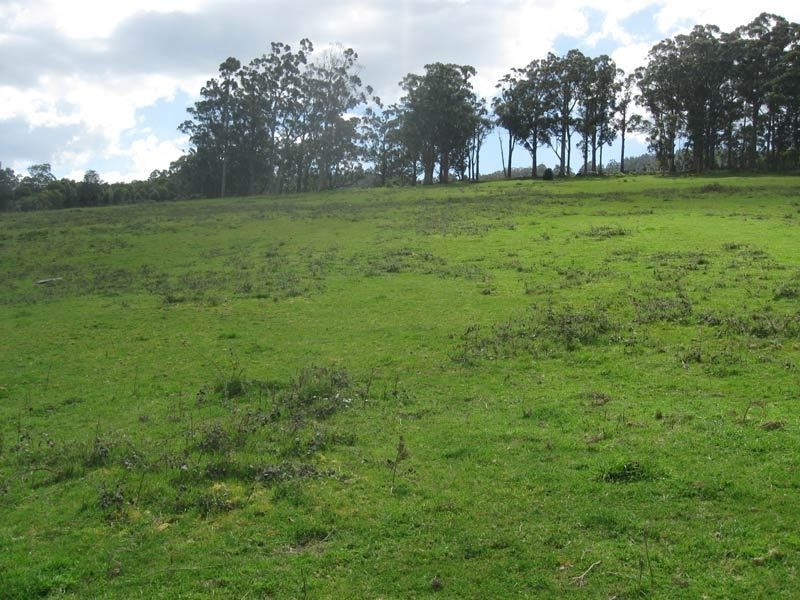 48  Fourfoot Road, Geeveston TAS 7116