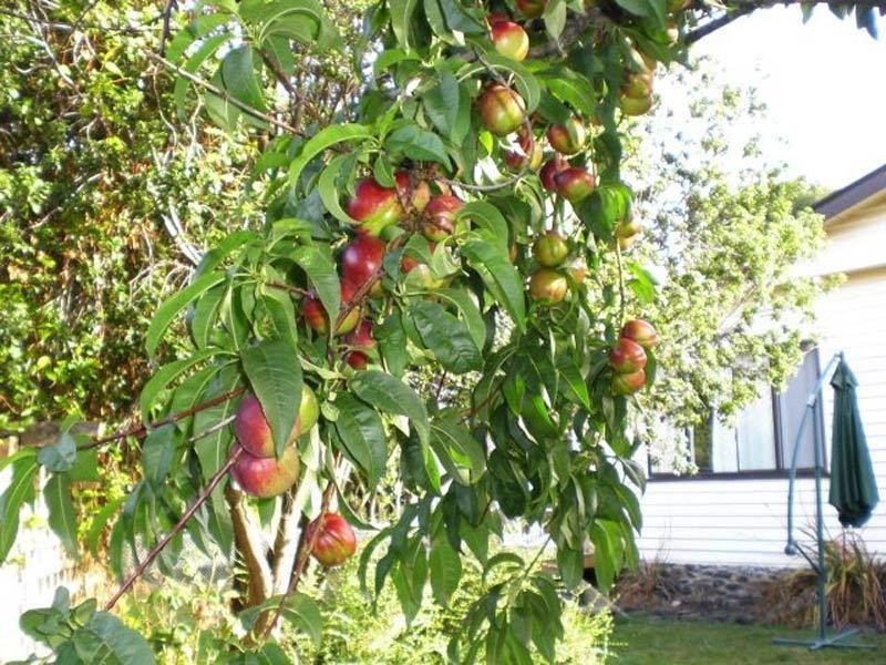 4917 Huon Highway, Geeveston TAS 7116