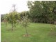 11 Weedings Way, Woodbridge TAS 7162