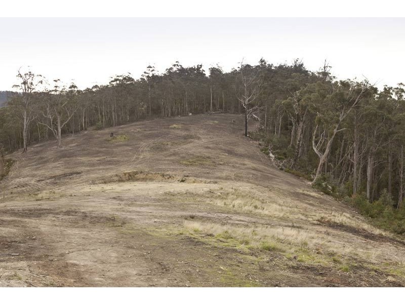 Lot 4 Browns Road, Ranelagh TAS 7109