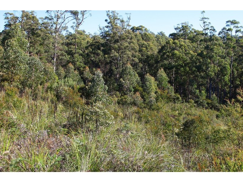 Lot 7 Whitecliffs Road, Brooks Bay TAS 7116